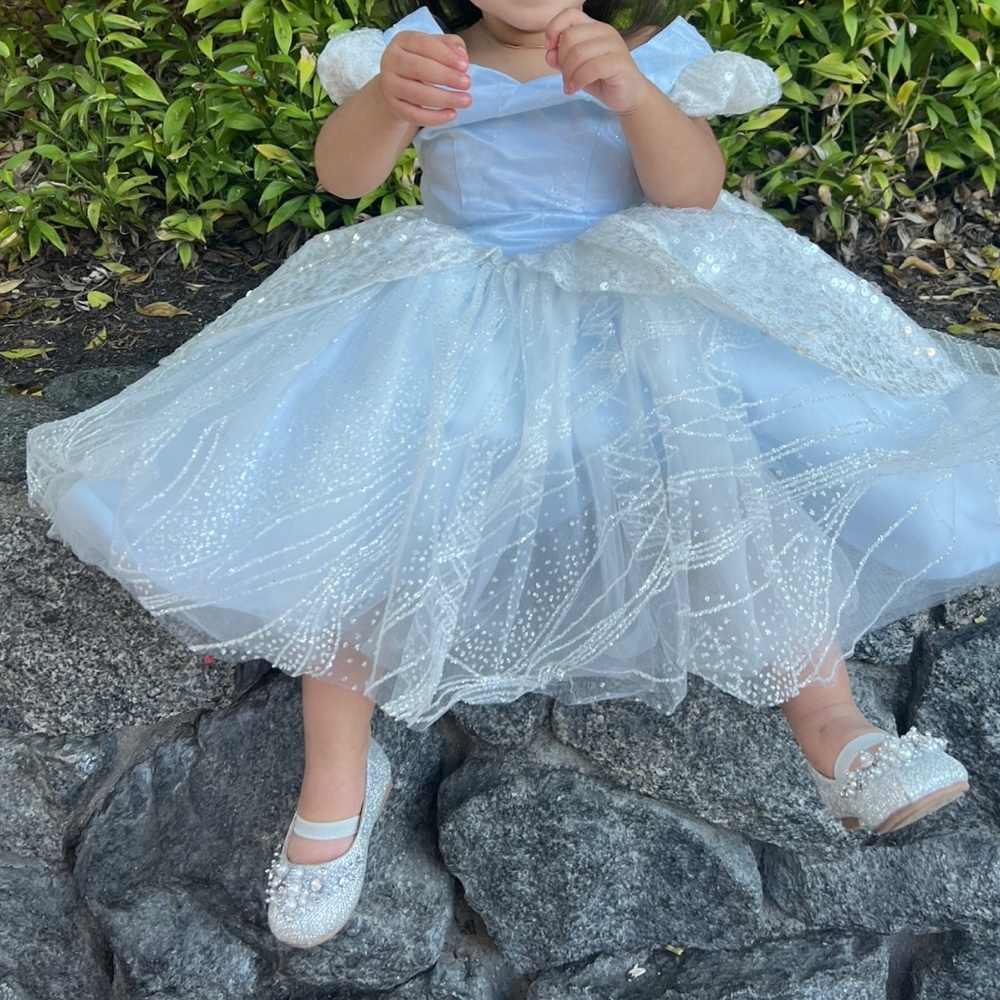 Cinderella Blue Sparkle Dress Lace Ballgown Costume | Toddler, Girls